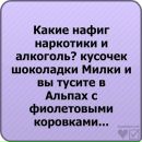 Вікуся Макшайт фотография #10 (источник - https://vk.com/id66079486)