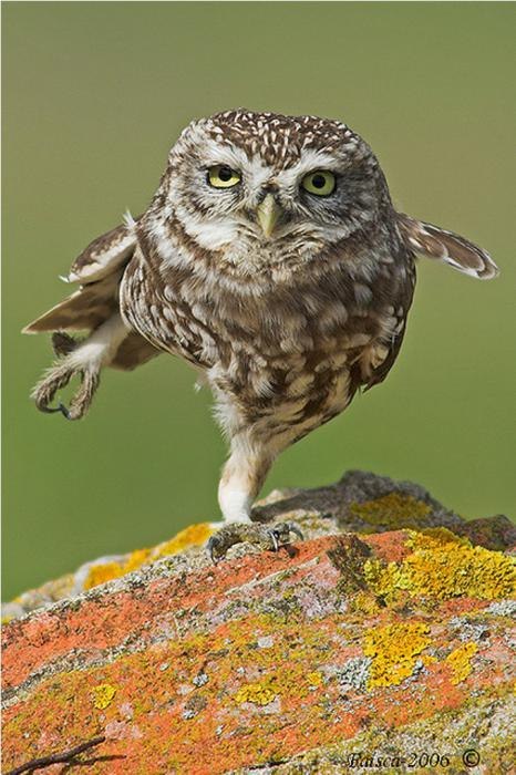 Дмитрий Ефимов фотография #25