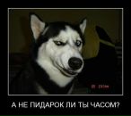 Олексій Шай фотография #22 (источник - https://vk.com/id30603447)