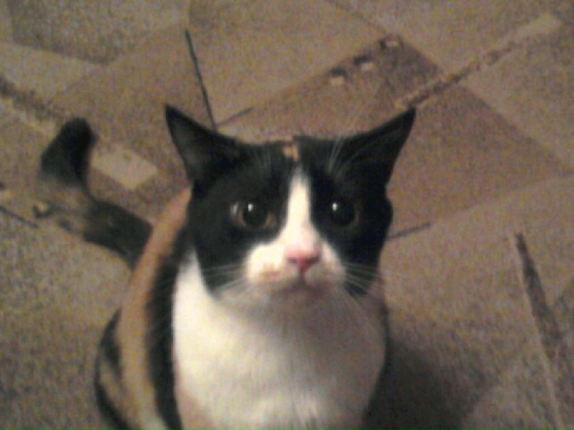 Светлана Даценко фотография #42