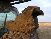 Фотография Заритовского Стаса