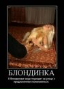 Фотография Аня Бирюкова