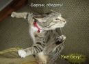 Артур Самойлюк фотография #11 (источник - https://vk.com/id154304926)