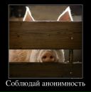 Віталій Храм фотография #16 (источник - https://vk.com/id28004545)