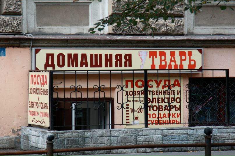 Катя Мищенко фотография #1