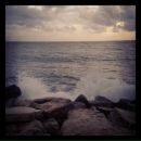 Дарья Малик фотография #49 (источник - https://vk.com/id15000)