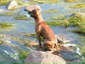 Сергій Мордель фотография #40 (источник - https://vk.com/id17693606)