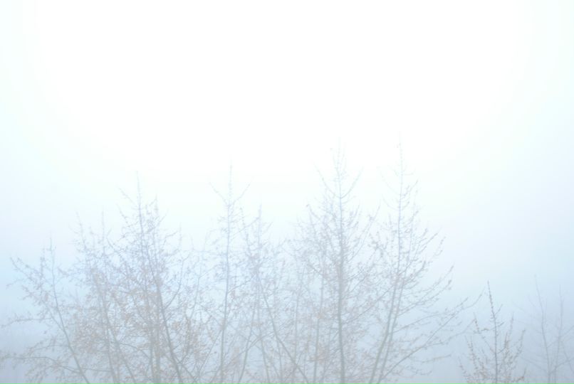 Ray Daniels фотография #42