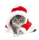 Фотография Молотковой Марии