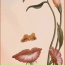 Фотография Мохновой Татьяны