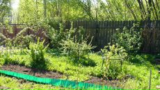 Рогнеда Степанова фотография #44 (источник - https://vk.com/id8756748)