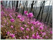 Фотография Смирновой Дарьи