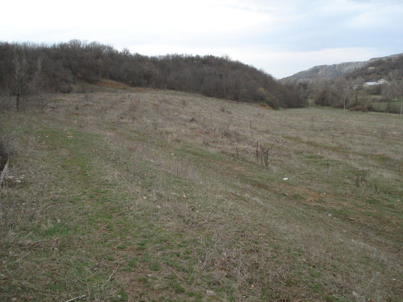 Кащеев Серега фотография #28