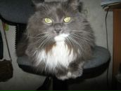 Анна Краснова фотография #4 (источник - https://vk.com/id720260)