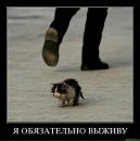 Фотография Ферафонтова Ильи
