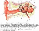 Αртем Φедоров фотография #5 (источник - https://vk.com/id162865608)