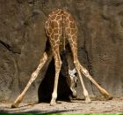 Фотография Мостовьюк Татьяны