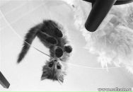 Фотография Гришуткиной Татьяны