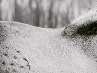 Юрій Татович фотография #48 (источник - https://vk.com/id55043676)