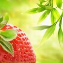 Фотография Крисиной Натальи