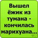 Дімон Воронський фотография #34 (источник - https://vk.com/id110868682)