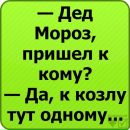 Софія Велгош фотография #48 (источник - https://vk.com/id144038086)