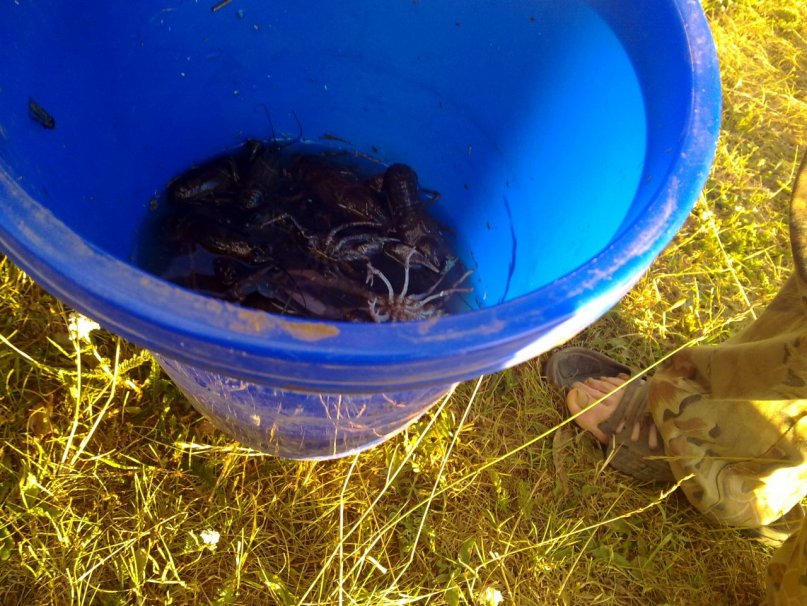 Шамиль Ахметсафин фотография #15