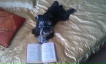 Фотография Половинкиной Марии