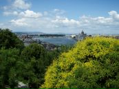 Віктор Сич фотография #16 (источник - https://vk.com/id15664191)