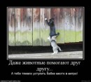 Натуська Білокур фотография #20 (источник - https://vk.com/id58570712)