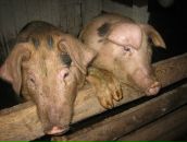 Фотография Соболева Андрея