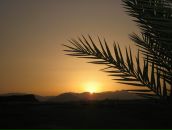 Анна Акимова фотография #34 (источник - https://vk.com/id693140)