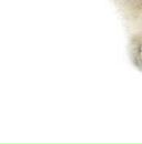 Марія Козак фотография #14 (источник - https://vk.com/id148871802)