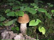 Влад Кріль фотография #15 (источник - https://vk.com/id59400404)