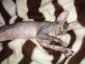 Фотография Гущина Владимира