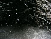 Фотография Lola Aleksandra