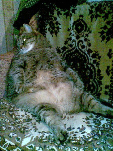 №3, Денис Сирин №3, Денис Сирин